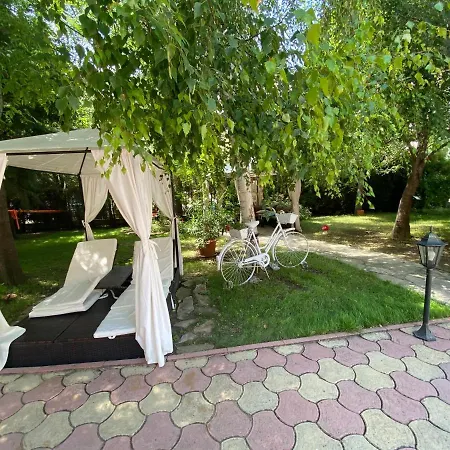 Apartment Anita A 25 Pool View Sunny